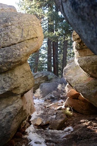 DSC_5209 (Large).JPG